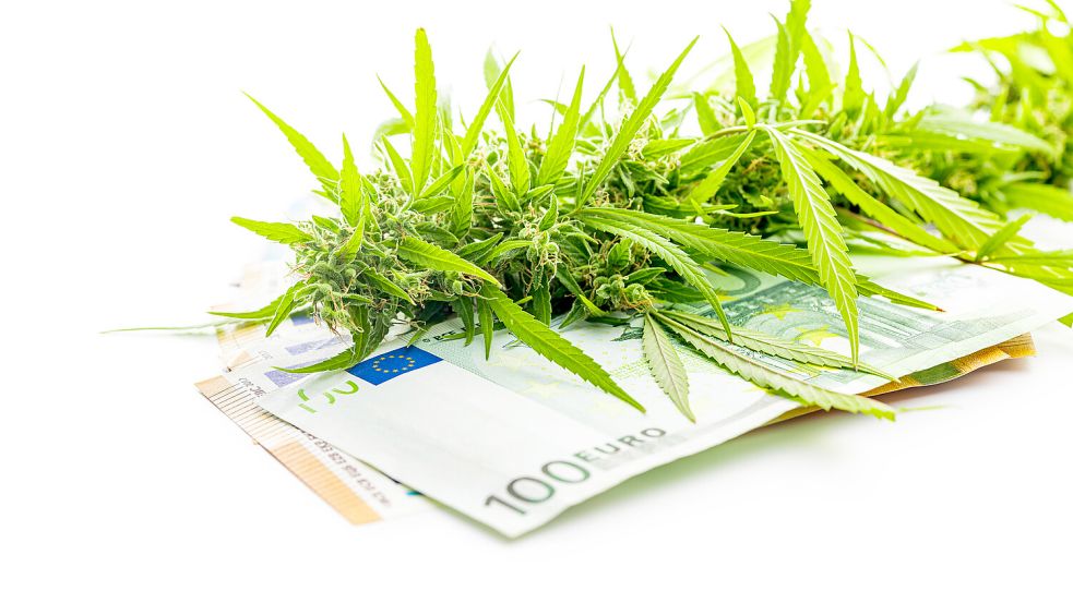 Die Nachfrage nach Cannabis-Aktien mag steigen. Warum ein Cannabis-Investment dennoch mit Vorsicht zu genießen ist. Foto: IMAGO/Zoonar