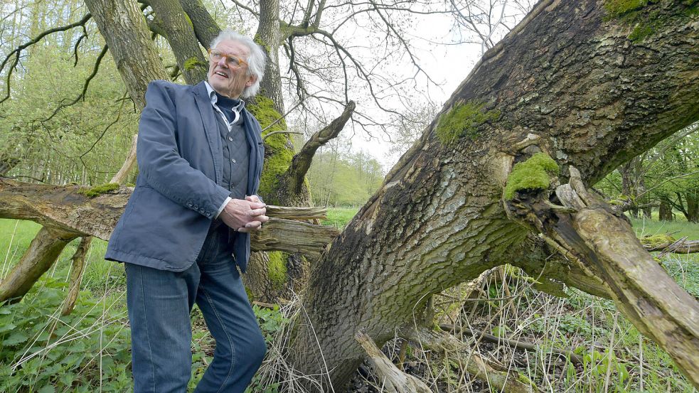 Jan Timmer zeigt einen toten Baum, der aber vielen Tieren Futter, Unterschlupf und Brutmöglichkeiten bietet. Foto: Ortgies