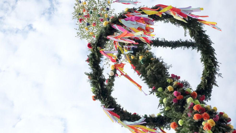 Auch in Ochtelbur packten viele fleißige Helfer mit an und schmückten den Maibaum, den die Dorfgemeinschaft Ochtelbur auf dem Dorfplatz aufstellte. Foto: Schiefelbein