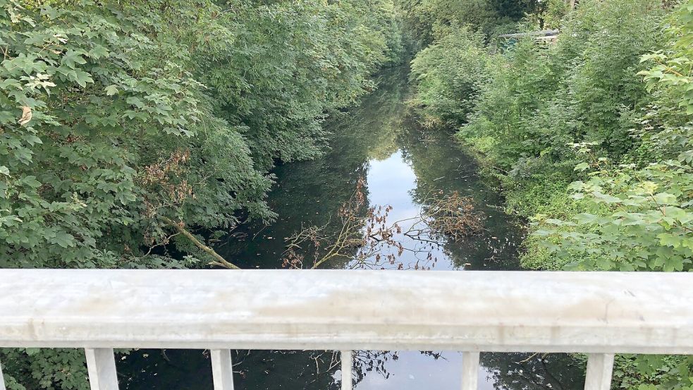 Mehr Grün als Wasser: Das Sieltief in Jemgum soll aus dem Dornröschenschlaf geholt werden. Foto: Vogt