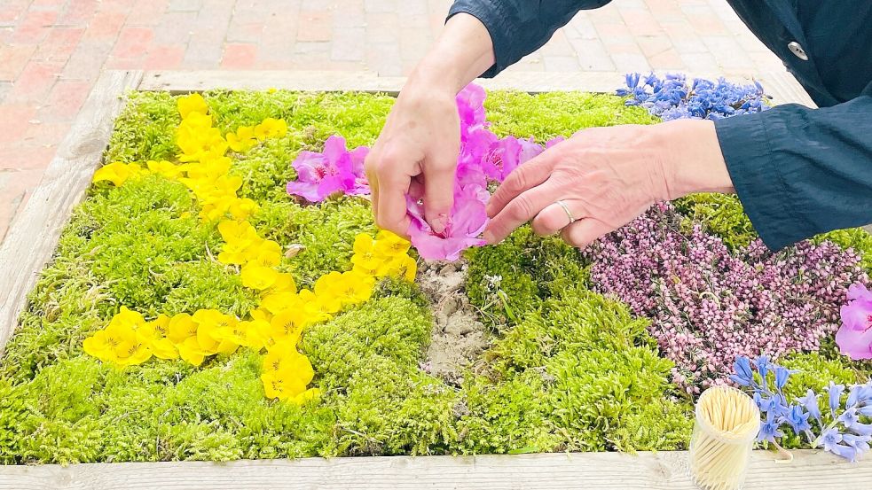 Die Blüten werden in den Sand gesteckt. Die Lücken zwischen den Blumen werden mit Moos aufgefüllt. Foto: Buß