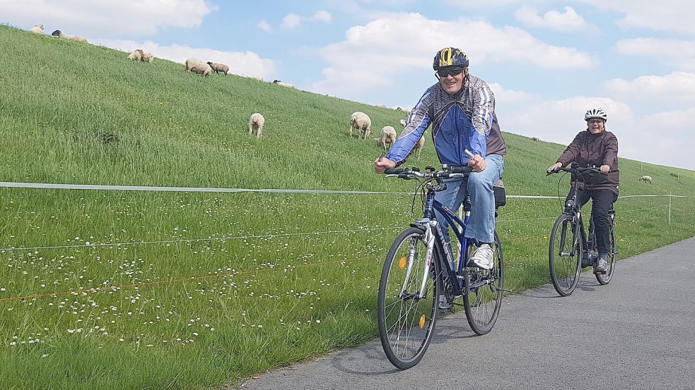 Touren am Deich, wie hier in Ditzum, sind sehr beliebt. Foto: Gettkowski/Archiv