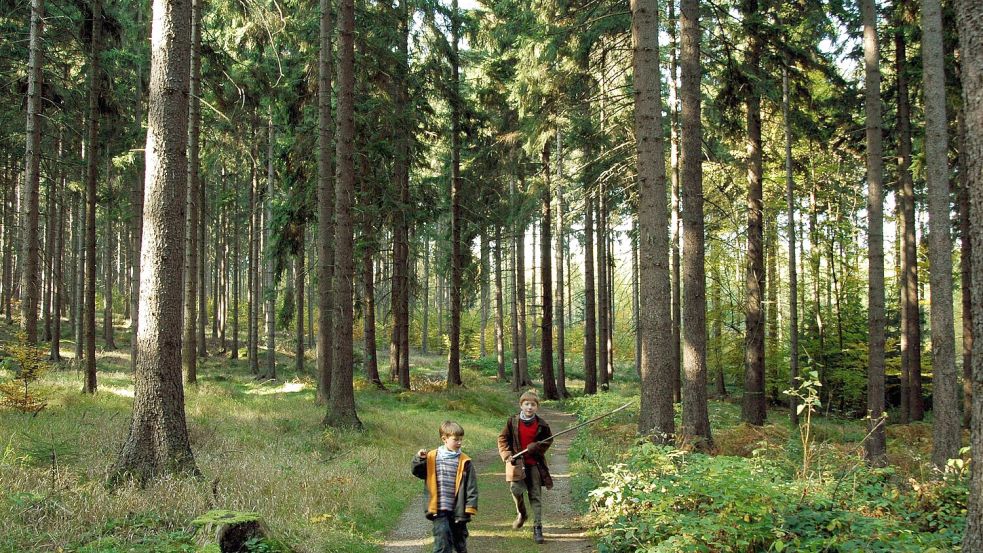 Mit dem Hauch der Freiheit: Jungen stromern durch den Wald. Foto: imago/Schöning
