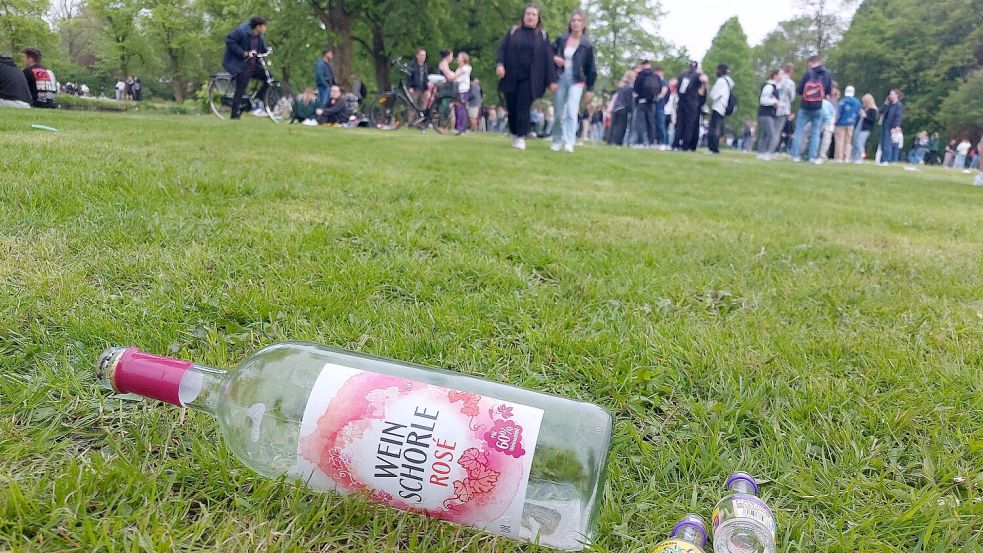 Hunderte Feiernde kommen zum Vatertag beim Schwanenteich-Park zusammen. Fotos: Hanssen