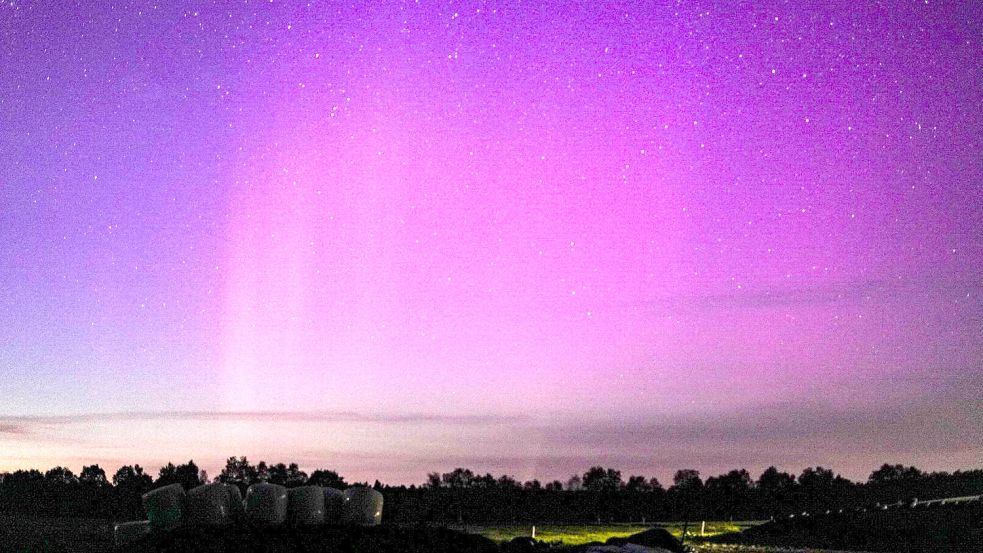 Dieses Bild wurde Samstagabend auf einem Hof in Wiesedermeer (Gemeinde Friedeburg) aufgenommen. „Endlich hat es mal geklappt!", schreibt die Fotografin dazu. Foto: Carina Kleemann