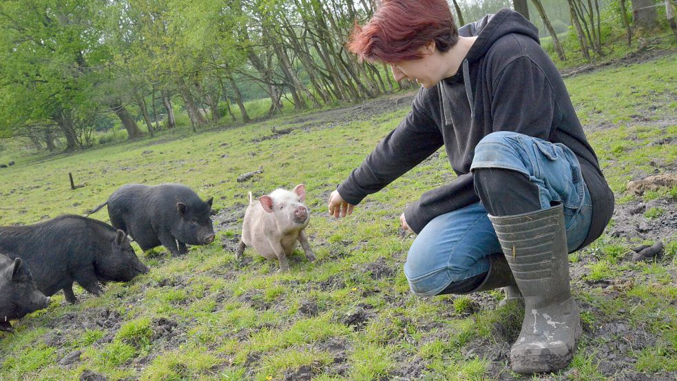 Die Tiere werden schnell handzahm, wenn man sich regelmäßig mit ihnen beschäftigt, weiß Jenny Conrad. Foto: Hanz