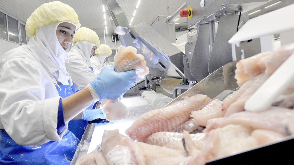 Bei Norebo in der russischen Region Murmansk wird Fisch verarbeitet. Von dort aus liefen die Schiffe des Unternehmens auch Eemshaven an. Foto: ITAR-TASS/Imago Images