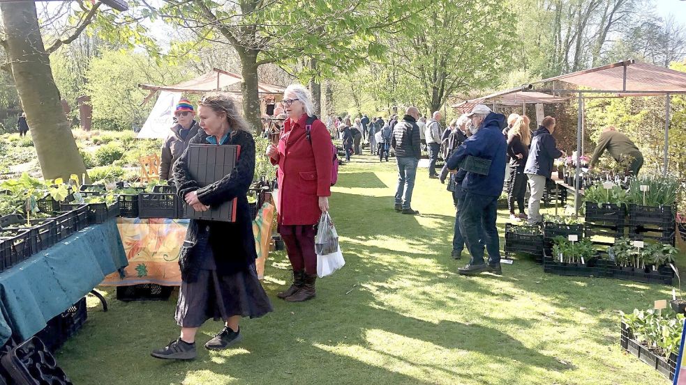 Bei den Alternativen Gärtnerei-Tagen gibt es viel zu entdecken. Foto: Veranstalter