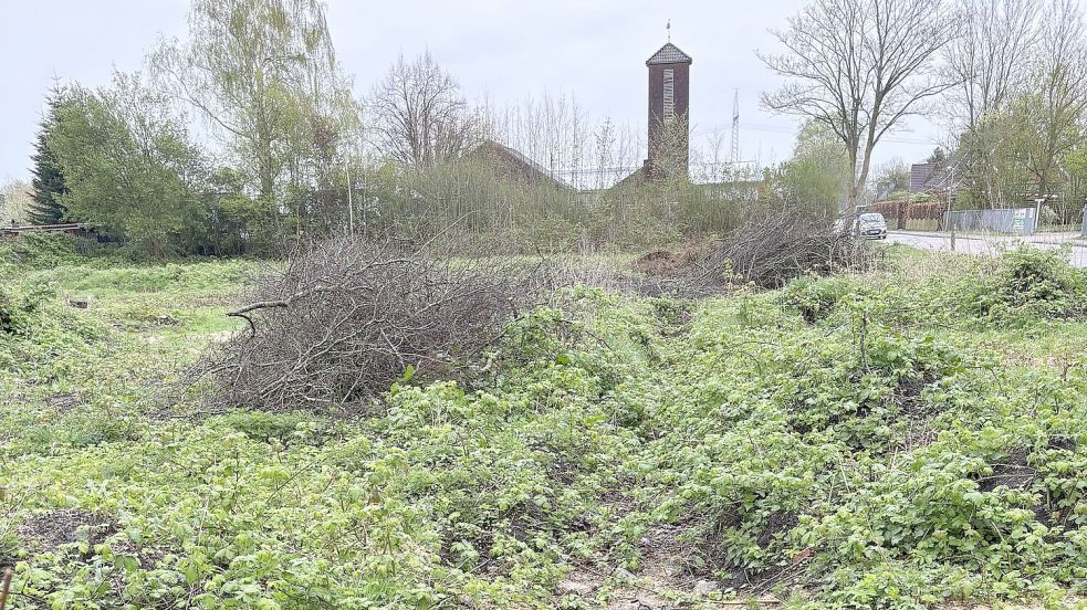 Auf dem Grundstück neben der Gedenkstätte Tidofeld soll die neue Kita Moortief gebaut werden. Foto: Rebecca Kresse
