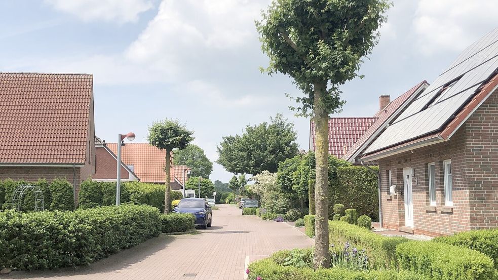 In dieser Straße sind zwei Bäume ihrer Kronen beraubt worden. Foto: H. Müller