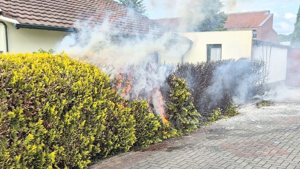 Diese Hecke an der Schifferstraße in Ostrhauderfehn geriet in Brand. Fotos: Block/Feuerwehr Ostrhauderfehn