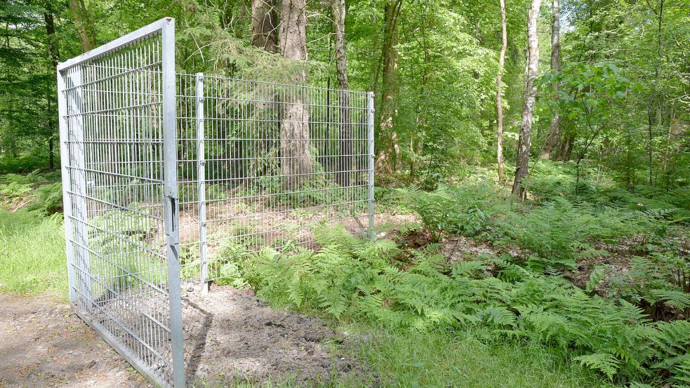 Zwei Elemente und ein Tor: Noch sind erst 150 Meter Zaun gebaut. Im kommenden Jahr soll das gesamte Gelände eingezäunt werden. Foto: Hanz