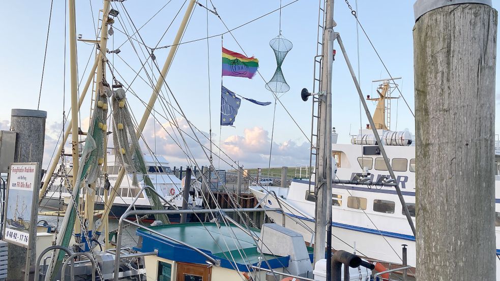 Von EU und LGBT hält der Kapitän offensichtlich nichts: Ein Krabbenkutter im Hafen Strucklahnungshörn in Nordstrand ist mit entsprechenden Flaggen drapiert, auf denen Mittelfinger abgebildet sind. Foto: Ilse Buchwald