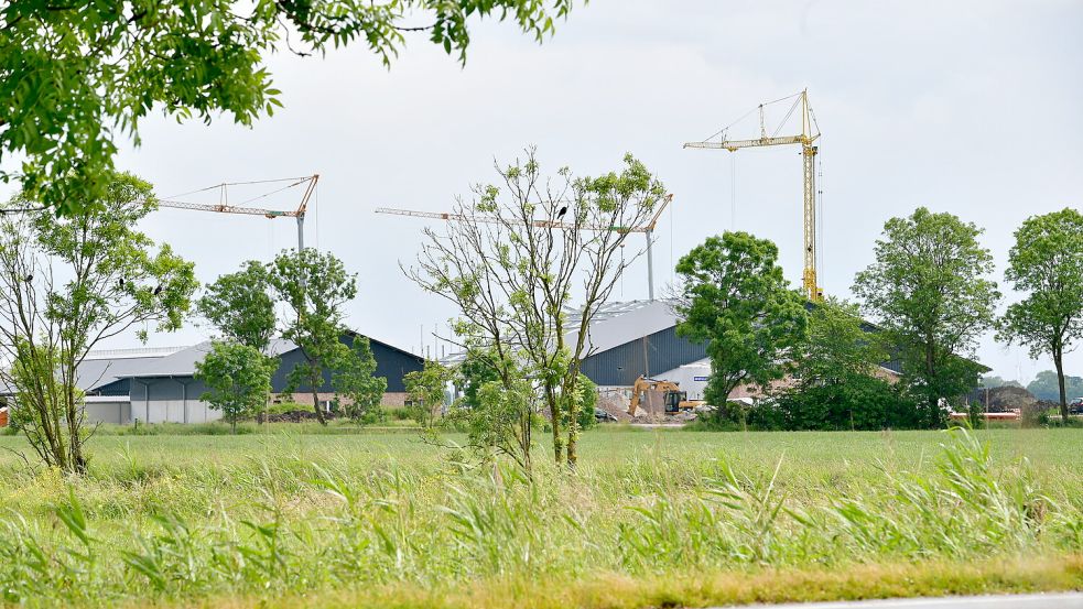 Zur Zeit entsteht eine Domäne in der Nähe von Wirdum. Foto: Wagenaar