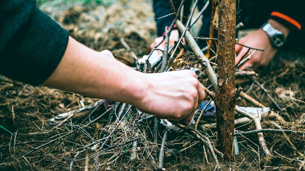 Viele Programmpunkte soll es geben. Symbolfoto: Pexels/Mike