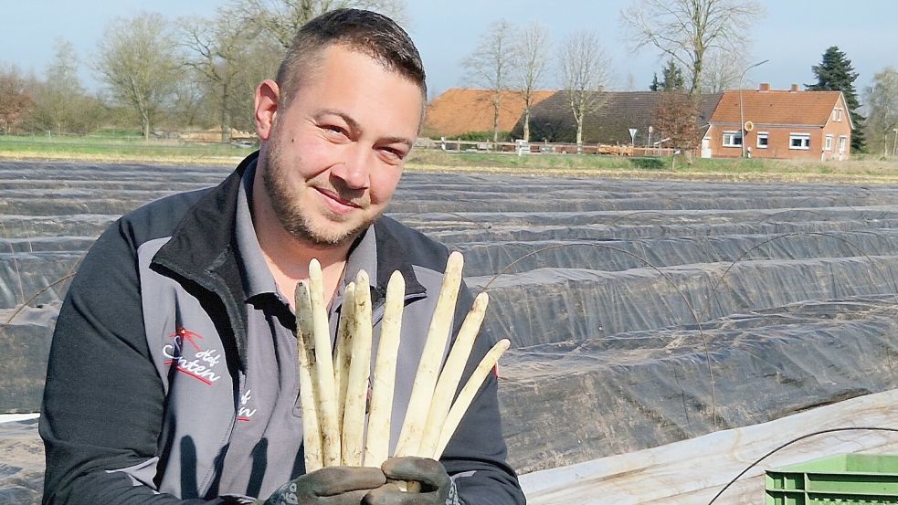 Für Spargelbauer Daniel Santen aus Diele begann die Spargelsaison in diesem Jahr so früh wie selten. Erntefrischer Spargel kam bei ihm bereits am 27. März auf den Tisch. Archivfoto: Ortgies