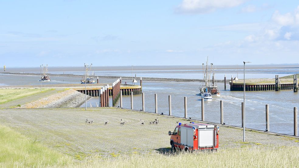 Die Fischer aus Greetsiel haben auf der Nordsee nach ihrem verunglückten Kollegen gesucht. Foto: Wagenaar