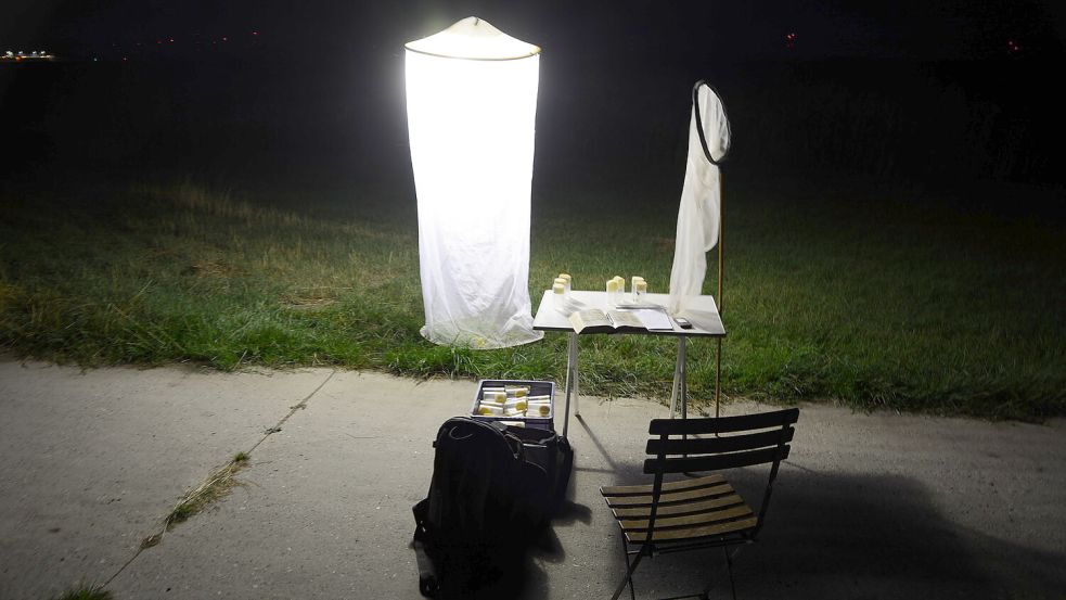 Mit einem solchen "Leuchtturm", einer Lichtfangeinrichtung, haben die Biologen der Naturschutzstation Ems die Nachtfalter aufgespürt. 317 verschiedene Arten haben sie festgestellt. Foto: Peter Pauschert