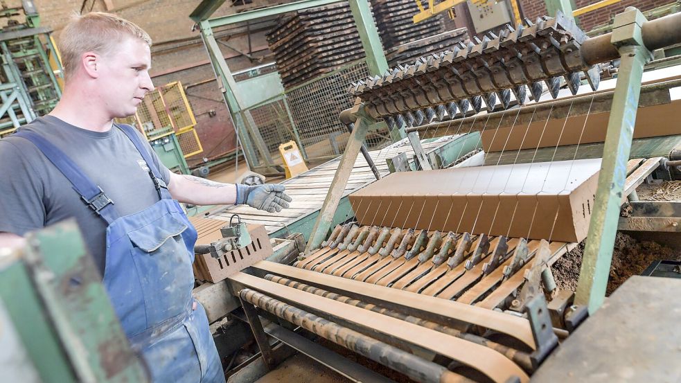 Dennis Peters steht am Harfenabschneider. Wie die Saiten des Musikinstrumentes sind die Drähte gespannt, die durch die Tonmasse schneiden. Hier werden die Steine in Form geschnitten. Foto: Ortgies