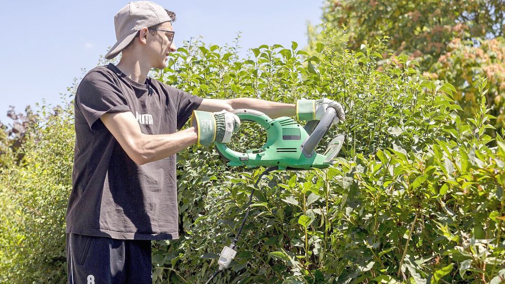 Ist es erlaubt, im Sommer die Hecke zu schneiden oder muss man damit bis Oktober warten? Foto: Imago/Chromorange
