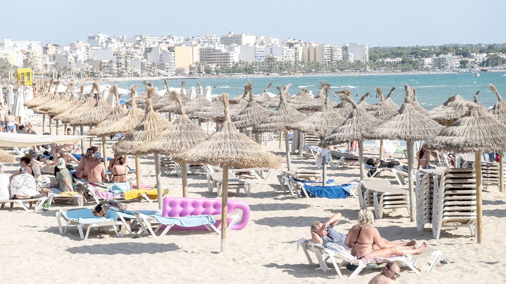 Begehrte Plätze: Die Liegen am Strand Playa de Palma auf Mallorca. Foto: IMAGO/Chris Emil Janßen