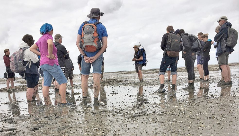 Wattwanderer vor Harlesiel. Foto: Budde