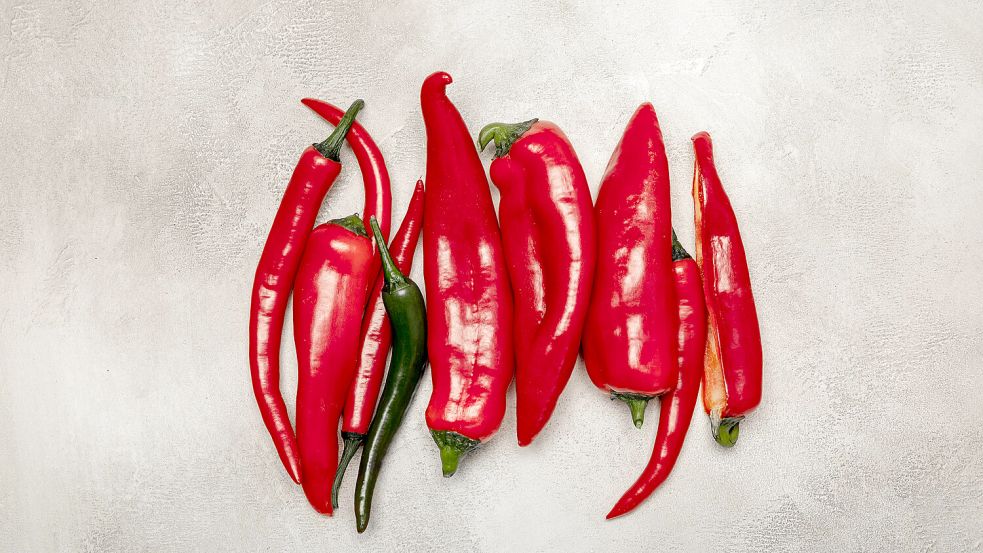 Chilis gibt es in vielen Formen – und mit unterschiedlichem Schärfegrad. Foto: Obst & Gemüse/1000 gute Gründe