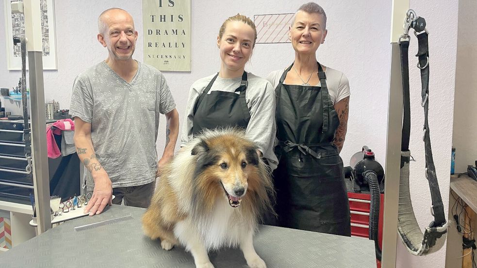 Sie kann gut mit Hunden umgehen : Iryna Koshmal aus der Ukraine (Mitte) hat ihr Praktikum im Hundesalon „Filzfrei“ von Petra und Gottfried Rotter absolviert. Foto: privat