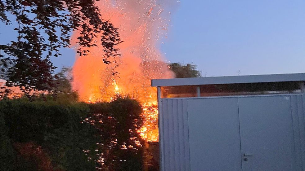 Hecke in Vollbrand: Hier sollten spätestens die Profis zu Hilfe gerufen werden. Foto: Feuerwehr