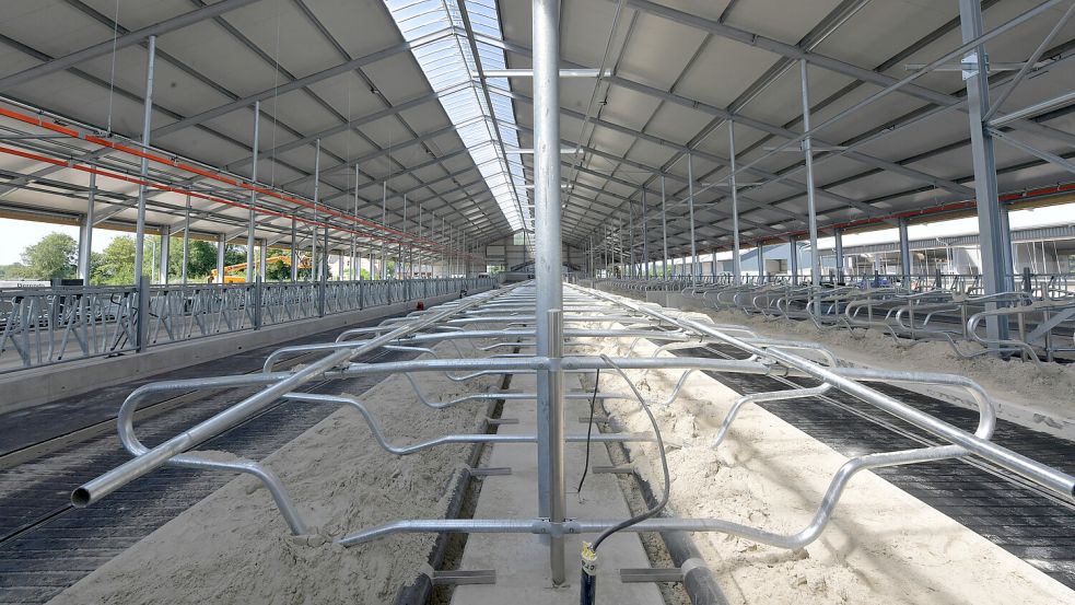 Bis zu 240 Kühe können auf dem neuen Hof gehalten werden. Foto: Ortgies
