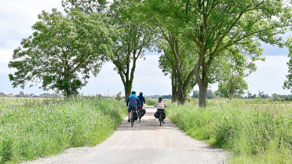 Auf einem Abschnitt des Ostwegs wurde „in Schotter“ saniert. Foto: Wagenaar