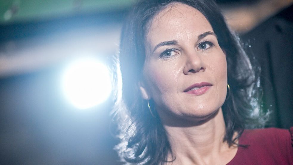 Bundesaußenministerin Annalena Baerbock ist Opfer einer Fake-News-Kampagne geworden. Foto: dpa/Britta Pedersen