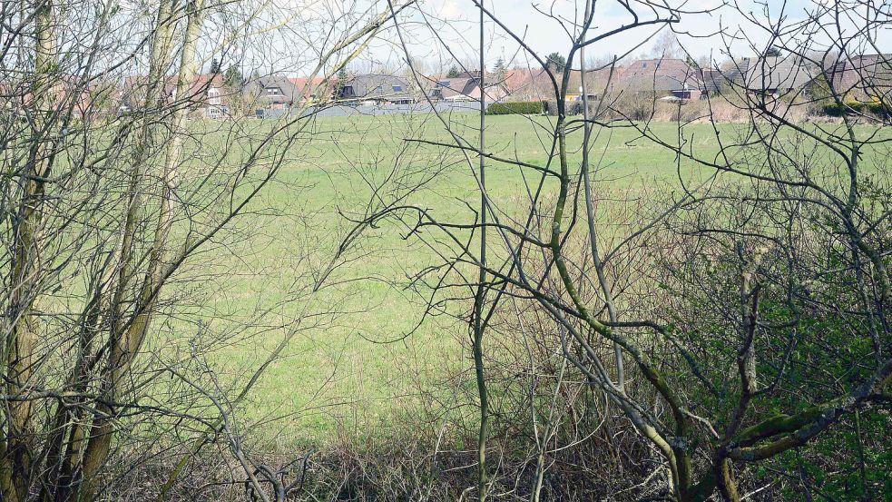 Blick auf den Siedlungsrand im Stadtteil Constantia: Auf dem Gründland westlich vom Gatjebogen sollten 40 Wohneinheiten entstehen. Foto: F. Doden/Archiv