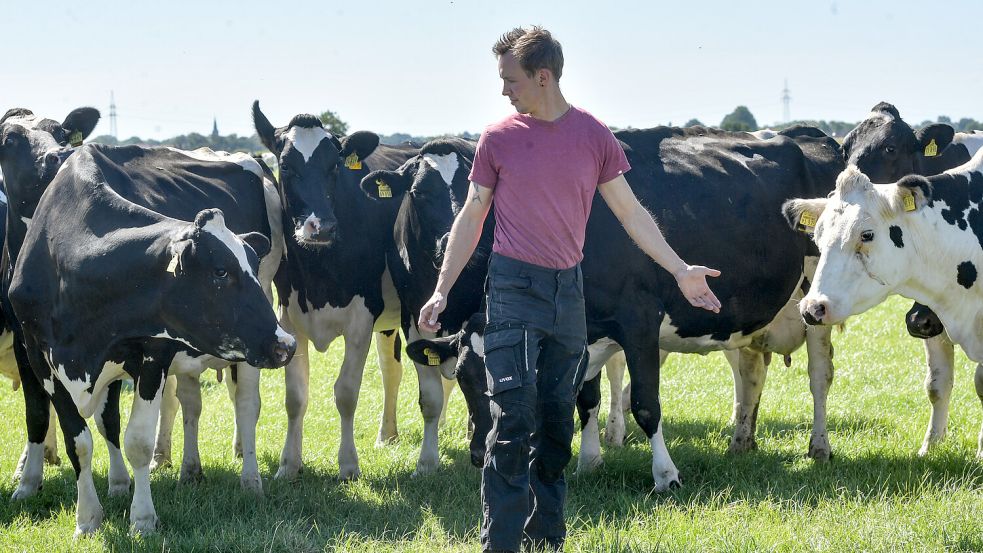 Keno Tannen mit einigen seiner Kühe auf der Weide. Der Junglandwirt ist hin- und hergerissen zwischen dem Wohlgefühl der Kühe und der wirtschaftlichen Effizienz. Foto: Ortgies