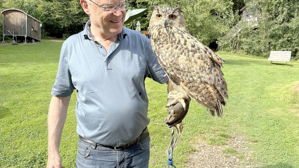 Streicheln wollte er dann doch lieber nicht: Niedersachsen Ministerpräsident Stephan Weil (SPD) hält im Erlebniswald Solling das Uhu-Weibchen Hedwig auf dem Arm. Foto: Lars Laue