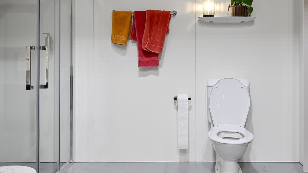 Sollte man den Toilettendeckel nach dem Geschäft geschlossen oder geöffnet lassen? Foto: IMAGO/Pius Koller