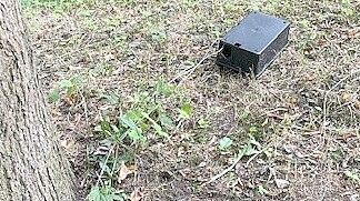 Diese Boxen wurden am Hohen Wall ausgelegt. Foto: Boschbach