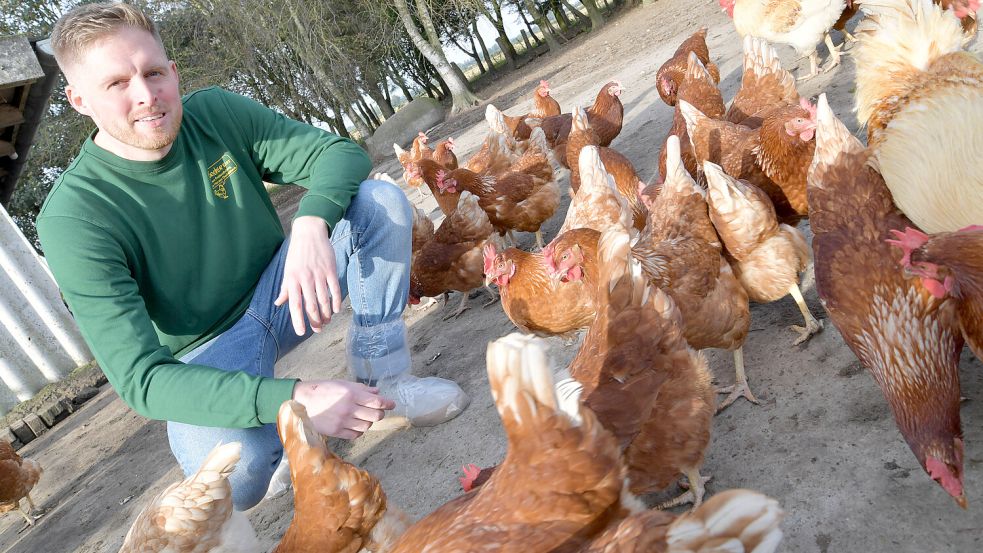 Juniorchef Volker Posselt setzt bei seinen Legehennen auf sogenannte Braunleger. An ihren roten Ohrlappen ist erkennbar, dass sie braune Eier legen. Foto: Ortgies