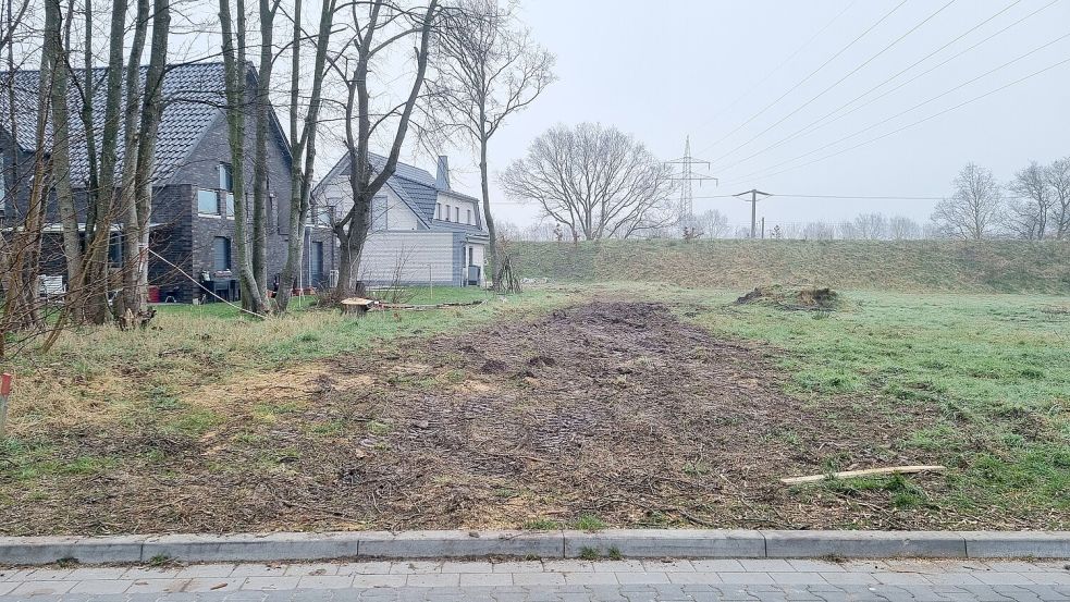 Ende Februar wurden die großen Eichen im Baugebiet gefällt. Die Spuren der Arbeiten waren zwar noch zu sehen, die Bäume waren aber verschwunden. Foto: Bothe