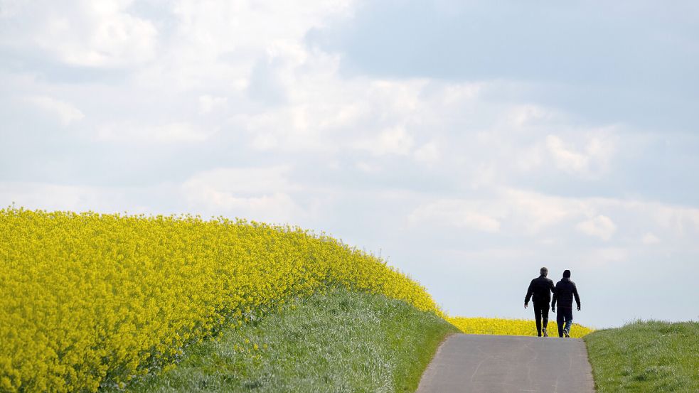 Hilft dem Gehirn bei der Stressverarbeitung: Ein Spaziergang durch die Natur. Symbolbild: Boris Roessler/dpa