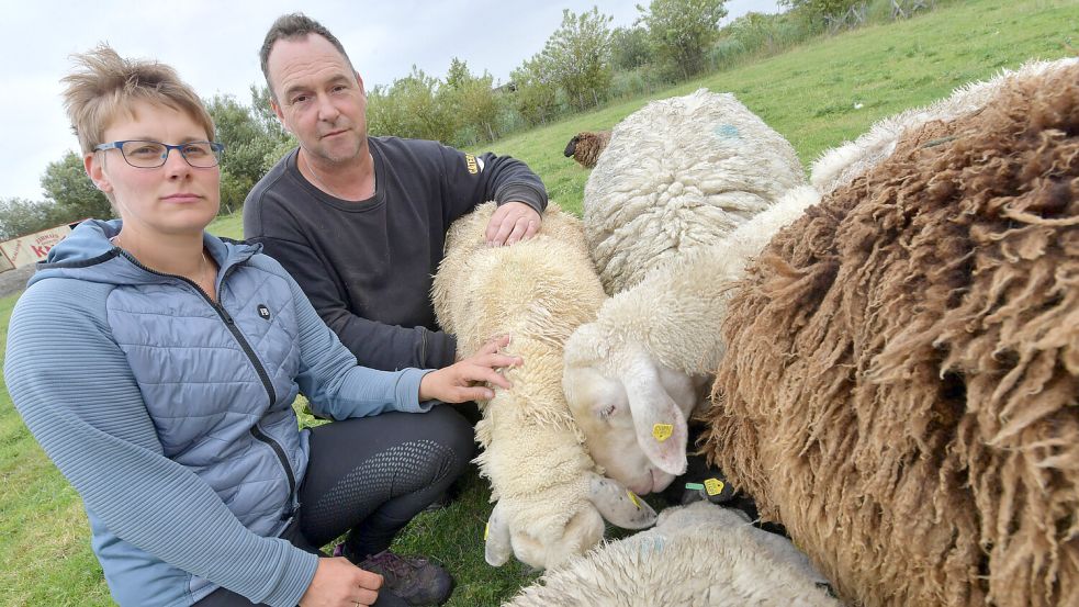 Anne und Dennis Bonsemeyer aus Petkum haben viele ihrer Schafe an die Blauzungenkrankheit verloren. Foto: Ortgies