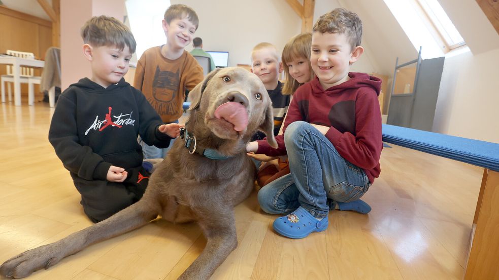 Auch ein Hund soll – wie auf diesem Symbolfoto – in die Kita Jübberde kommen. Foto: Hildenbrand/dpa