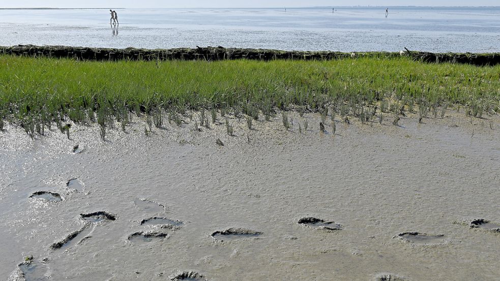 Am Naturstrand von Hilgenriedersiel hinterlassen nur wenige Besucher ihre Spuren. Er entspricht nicht dem klassischen Bild, das viele von einem Strand haben. Wer hierher kommt, sucht die Ruhe und Nähe zur Natur. Foto: Archiv/Ingo Wagner/dpa