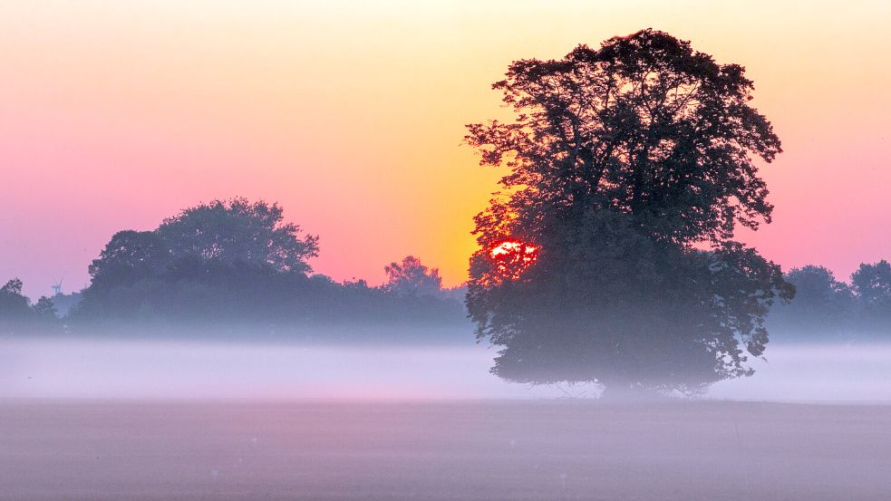 Die Sonne geht im Morgennebel hinter einem Feld auf. Am Wochenende soll es sonnig werden. Symbolfoto: Büttner/dpa