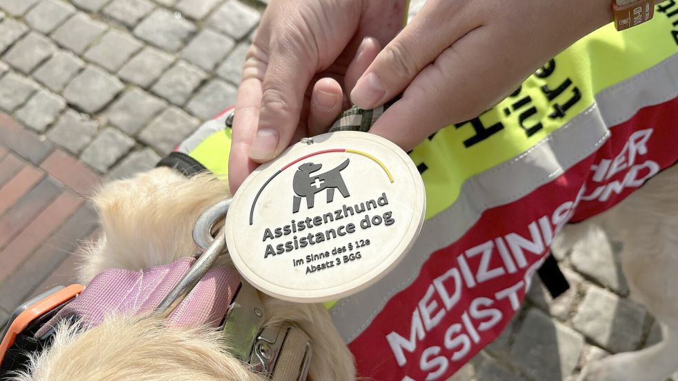 Die Plakette an Caras Halsband muss immer dabei sein, damit das Tier seine Halterin in Geschäfte und andere Einrichtungen begleiten darf.