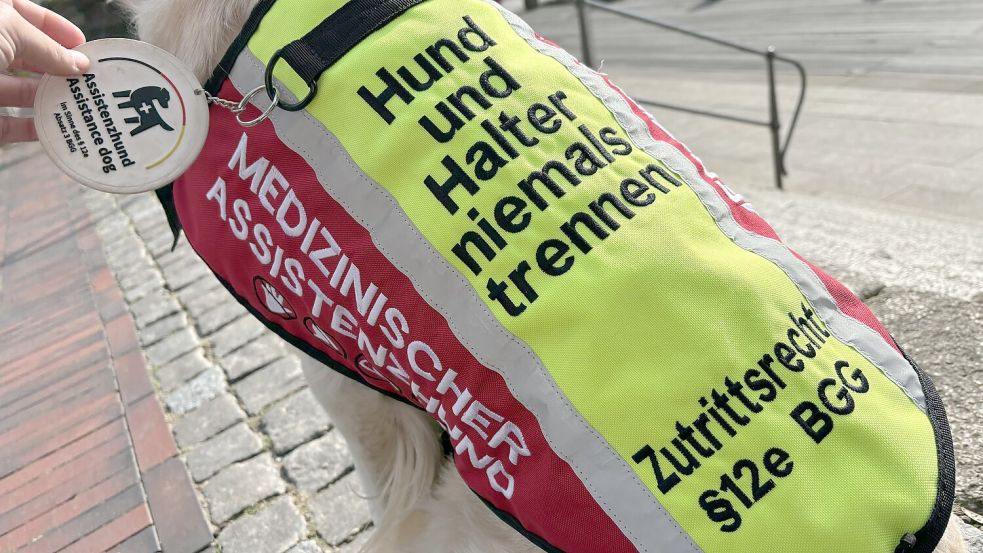 Caras Kenndecke zeigt allen anderen Personen schnell: Dieser Hund darf beispielsweise in den Supermarkt mit rein.