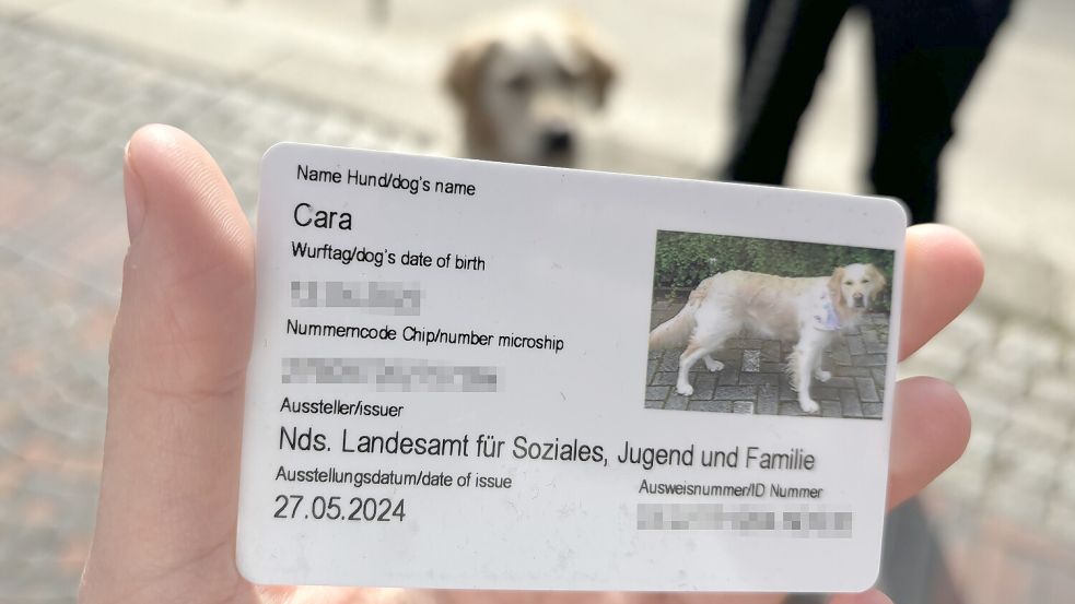 Hündin Cara hat einen eigenen Ausweis, der sie als Assistenzhündin bezeichnet.