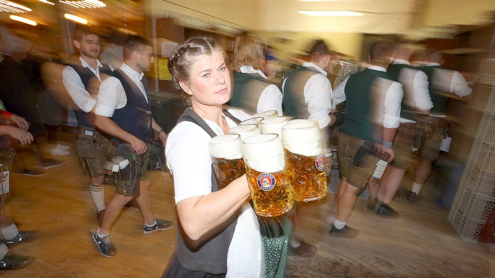 Der Job als Wiesnbedienung gehört zu den lukrativsten Jobs auf dem Oktoberfest. Foto: dpa/Karl-Josef Hildenbrand