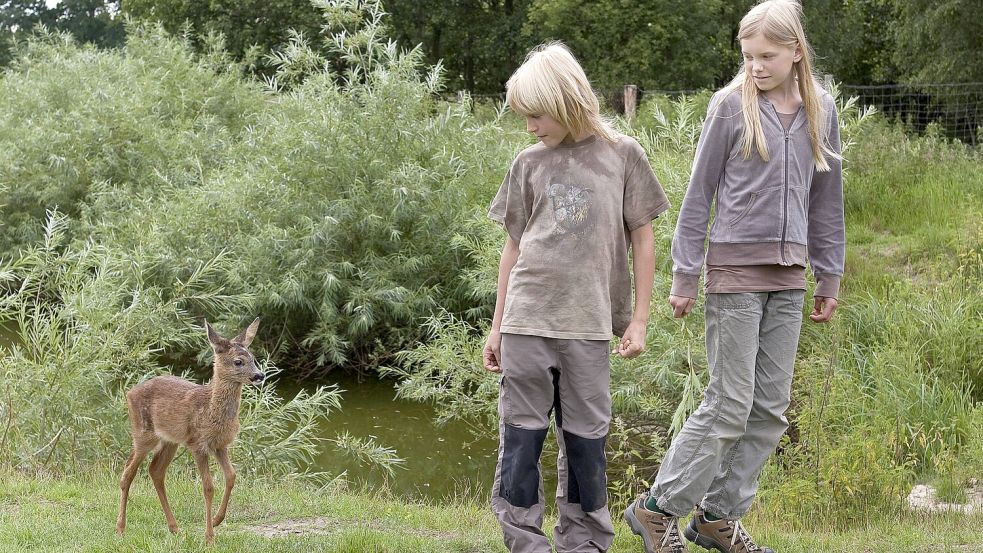 Das Reh folgt den beiden Mädchen buchstäblich auf Schritt und Tritt. Foto: imago/Blickwinkel