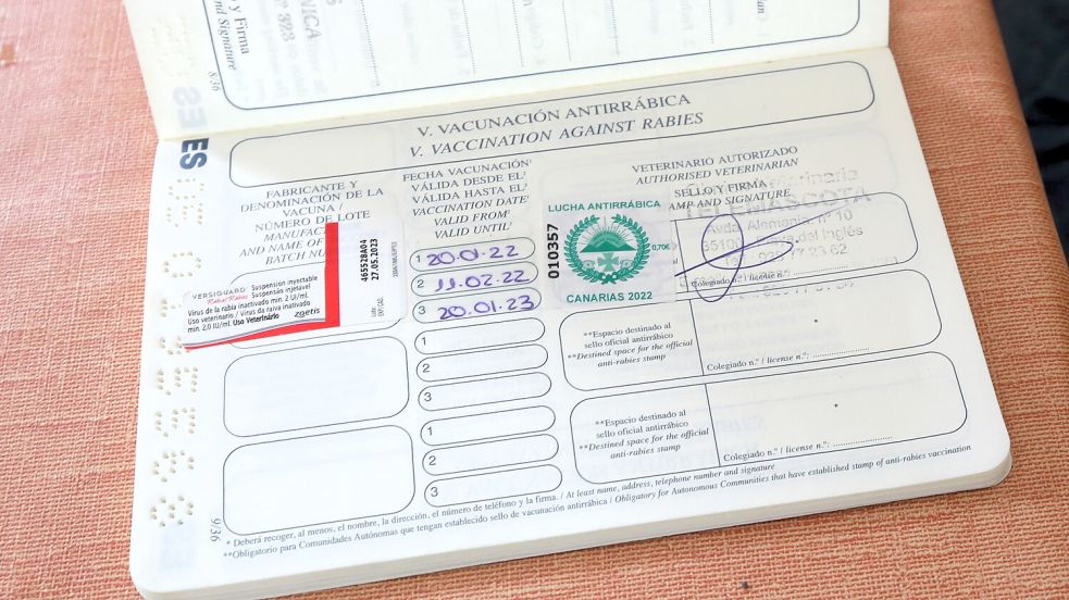Mit einem solchen Ausweis kommen die Tiere geimpft und gechippt von Gran Canaria in Wiesmoor an – mit einer frischen Tollwutimpfung. Foto: Böning